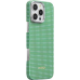 Ультра тонкий чехол Pitaka для iPhone 16 Pro Max, Зеленый